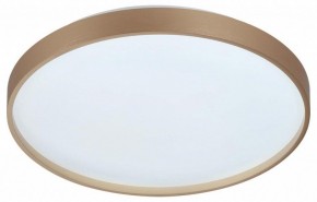 Накладной светильник Sonex Gaby 7783/DL в Нижнем Тагиле - nizhniy-tagil.ok-mebel.com | фото 6