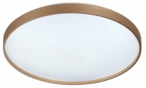 Накладной светильник Sonex Gaby 7783/EL в Нижнем Тагиле - nizhniy-tagil.ok-mebel.com | фото 4