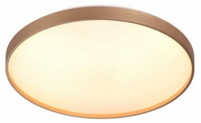 Накладной светильник Sonex Gaby 7783/EL в Нижнем Тагиле - nizhniy-tagil.ok-mebel.com | фото 5