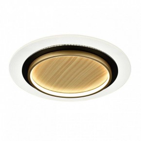 Накладной светильник Sonex Sunny 7731/80L в Нижнем Тагиле - nizhniy-tagil.ok-mebel.com | фото 4