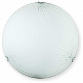 Накладной светильник TopLight Wifa TL9142Y-00WH в Нижнем Тагиле - nizhniy-tagil.ok-mebel.com | фото