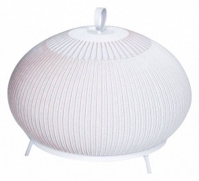 Настольная лампа декоративная Divinare Firefly 1808/33 TL-50 в Нижнем Тагиле - nizhniy-tagil.ok-mebel.com | фото
