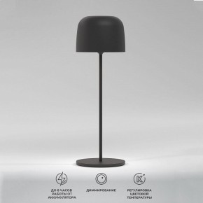 Настольная лампа декоративная Elektrostandard Bitty a069002 в Нижнем Тагиле - nizhniy-tagil.ok-mebel.com | фото 2
