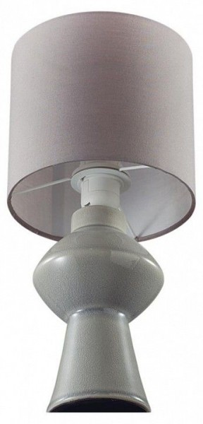 Настольная лампа декоративная Lumion Segi 8129/1Т в Нижнем Тагиле - nizhniy-tagil.ok-mebel.com | фото 3