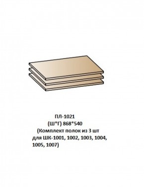 ПЛ-1021 (Комплект полок из 3 шт для ШК-1001, 1002, 1003, 1004, 1005, 1007) в Нижнем Тагиле - nizhniy-tagil.ok-mebel.com | фото