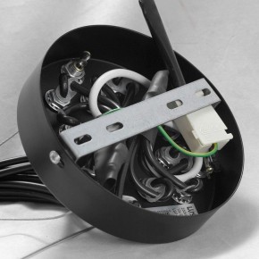 Подвесная люстра Lussole Seneca GRLSP-8177 в Нижнем Тагиле - nizhniy-tagil.ok-mebel.com | фото 10