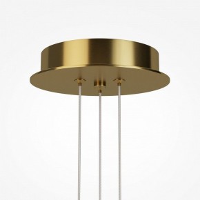 Подвесная люстра Maytoni Arana MOD401PL-L108BS3K в Нижнем Тагиле - nizhniy-tagil.ok-mebel.com | фото 7