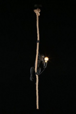 Подвесной светильник Aployt Magali APL.309.16.01 в Нижнем Тагиле - nizhniy-tagil.ok-mebel.com | фото 3