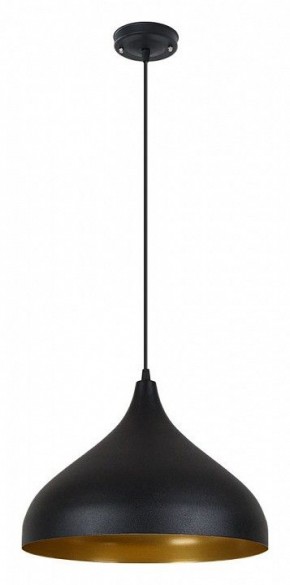 Подвесной светильник Arte Lamp Carmel A7076SP-1BK в Нижнем Тагиле - nizhniy-tagil.ok-mebel.com | фото 2