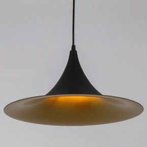 Подвесной светильник Arte Lamp Carmel A7080SP-1BK в Нижнем Тагиле - nizhniy-tagil.ok-mebel.com | фото
