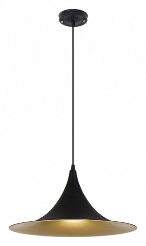 Подвесной светильник Arte Lamp Carmel A7080SP-1BK в Нижнем Тагиле - nizhniy-tagil.ok-mebel.com | фото 2