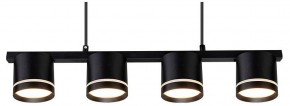 Подвесной светильник Arte Lamp Legacy A8024SP-4BK в Нижнем Тагиле - nizhniy-tagil.ok-mebel.com | фото