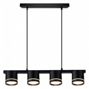 Подвесной светильник Arte Lamp Legacy A8024SP-4BK в Нижнем Тагиле - nizhniy-tagil.ok-mebel.com | фото 2