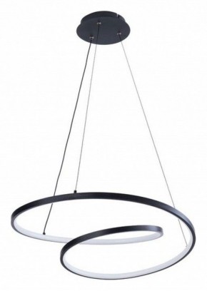 Подвесной светильник Arte Lamp Millo A3893SP-30BK в Нижнем Тагиле - nizhniy-tagil.ok-mebel.com | фото 2
