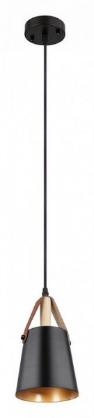 Подвесной светильник Arte Lamp Thomas A7032SP-1BK в Нижнем Тагиле - nizhniy-tagil.ok-mebel.com | фото 2