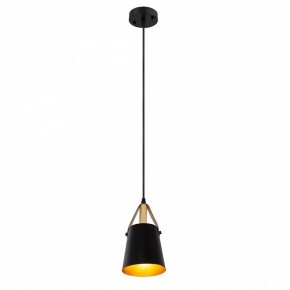 Подвесной светильник Arte Lamp Thomas A7032SP-1BK в Нижнем Тагиле - nizhniy-tagil.ok-mebel.com | фото 3
