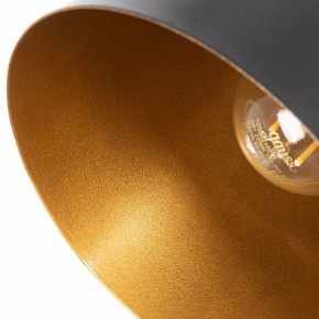 Подвесной светильник Arte Lamp Thomas A7032SP-1BK в Нижнем Тагиле - nizhniy-tagil.ok-mebel.com | фото 5