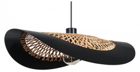 Подвесной светильник Arte Lamp Woodstock A7059SP-1BK в Нижнем Тагиле - nizhniy-tagil.ok-mebel.com | фото