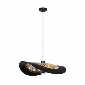 Подвесной светильник Arte Lamp Woodstock A7059SP-1BK в Нижнем Тагиле - nizhniy-tagil.ok-mebel.com | фото 2