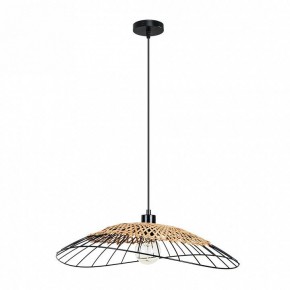 Подвесной светильник Arte Lamp Woodstock A7061SP-1BK в Нижнем Тагиле - nizhniy-tagil.ok-mebel.com | фото 2