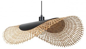 Подвесной светильник Arte Lamp Woodstock A7063SP-1BK в Нижнем Тагиле - nizhniy-tagil.ok-mebel.com | фото