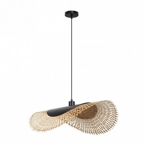 Подвесной светильник Arte Lamp Woodstock A7063SP-1BK в Нижнем Тагиле - nizhniy-tagil.ok-mebel.com | фото 2