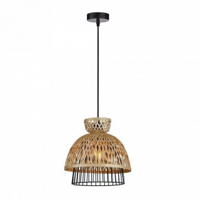 Подвесной светильник Arte Lamp Woodstock A7070SP-1BK в Нижнем Тагиле - nizhniy-tagil.ok-mebel.com | фото