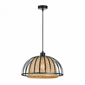 Подвесной светильник Arte Lamp Woodstock A7071SP-1BK в Нижнем Тагиле - nizhniy-tagil.ok-mebel.com | фото