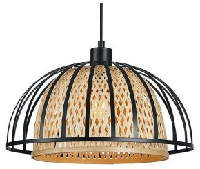 Подвесной светильник Arte Lamp Woodstock A7071SP-1BK в Нижнем Тагиле - nizhniy-tagil.ok-mebel.com | фото 2