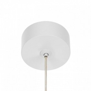 Подвесной светильник Citilux Bruno CL565010 в Нижнем Тагиле - nizhniy-tagil.ok-mebel.com | фото 5