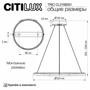 Подвесной светильник Citilux Trio CL215B051 в Нижнем Тагиле - nizhniy-tagil.ok-mebel.com | фото 8