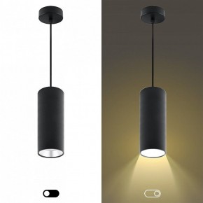 Подвесной светильник Эра  PL12 GX53 BK/SL в Нижнем Тагиле - nizhniy-tagil.ok-mebel.com | фото 5