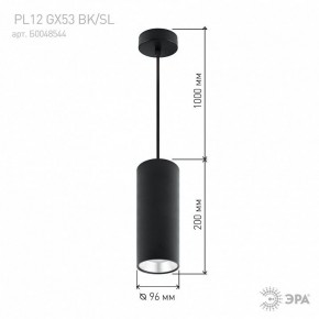Подвесной светильник Эра  PL12 GX53 BK/SL в Нижнем Тагиле - nizhniy-tagil.ok-mebel.com | фото 8