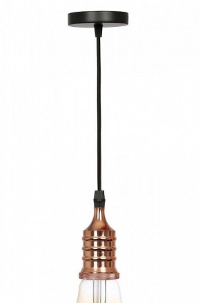 Подвесной светильник Эра PL13 Б0048525 в Нижнем Тагиле - nizhniy-tagil.ok-mebel.com | фото 3