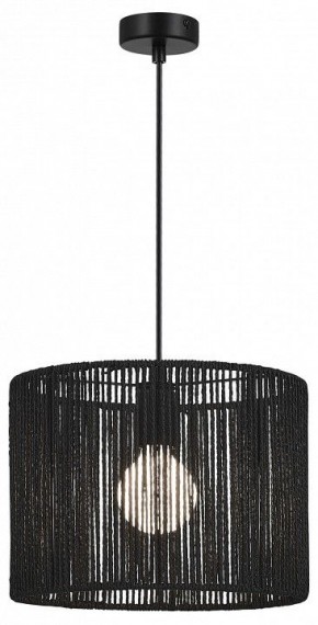Подвесной светильник EVOLUCE ETTAN SLE6024-403-01 в Нижнем Тагиле - nizhniy-tagil.ok-mebel.com | фото 2