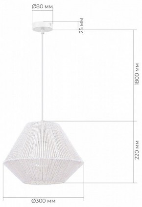 Подвесной светильник EVOLUCE ETTAN SLE6025-503-01 в Нижнем Тагиле - nizhniy-tagil.ok-mebel.com | фото 6