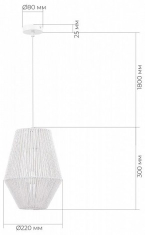 Подвесной светильник EVOLUCE ETTAN SLE6025-513-01 в Нижнем Тагиле - nizhniy-tagil.ok-mebel.com | фото 6