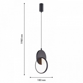 Подвесной светильник F-promo Grahan 4606-1P в Нижнем Тагиле - nizhniy-tagil.ok-mebel.com | фото 5