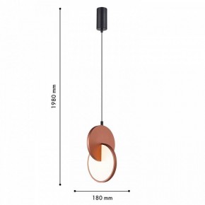 Подвесной светильник F-promo Grahan 4607-1P в Нижнем Тагиле - nizhniy-tagil.ok-mebel.com | фото 5