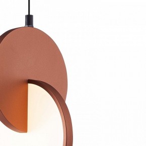 Подвесной светильник F-promo Grahan 4607-1P в Нижнем Тагиле - nizhniy-tagil.ok-mebel.com | фото 8