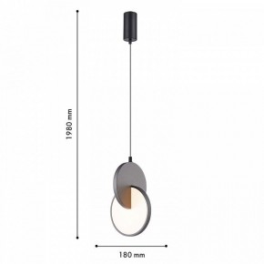 Подвесной светильник F-promo Grahan 4609-1P в Нижнем Тагиле - nizhniy-tagil.ok-mebel.com | фото 4