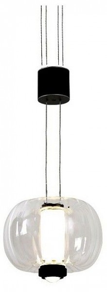 Подвесной светильник Favourite Lyfta 4493-1P в Нижнем Тагиле - nizhniy-tagil.ok-mebel.com | фото 1