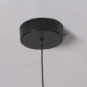Подвесной светильник Favourite Wilet 4656-1P в Нижнем Тагиле - nizhniy-tagil.ok-mebel.com | фото 10