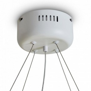 Подвесной светильник Freya Rain FR5546PL-L60W в Нижнем Тагиле - nizhniy-tagil.ok-mebel.com | фото 9