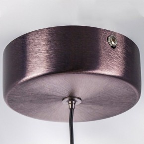 Подвесной светильник Lightstar Caramello 796113 в Нижнем Тагиле - nizhniy-tagil.ok-mebel.com | фото 10