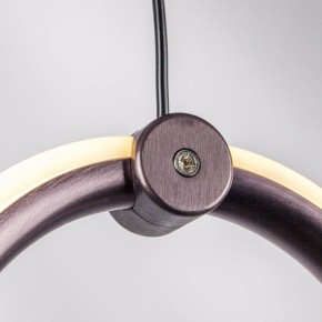 Подвесной светильник Lightstar Caramello 796229 в Нижнем Тагиле - nizhniy-tagil.ok-mebel.com | фото 10