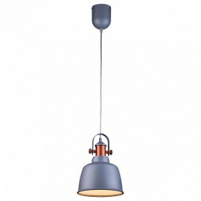 Подвесной светильник Lucia Tucci Industrial INDUSTRIAL 1820.1 SAND SILVER в Нижнем Тагиле - nizhniy-tagil.ok-mebel.com | фото 2