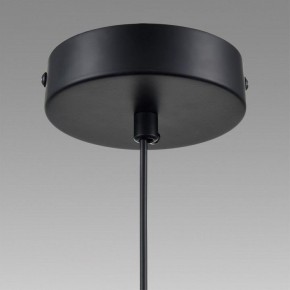 Подвесной светильник Lumion Isha 8101/1A в Нижнем Тагиле - nizhniy-tagil.ok-mebel.com | фото 9