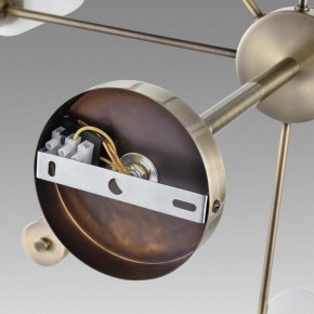 Подвесной светильник Lumion Mave 8100/8C в Нижнем Тагиле - nizhniy-tagil.ok-mebel.com | фото 6
