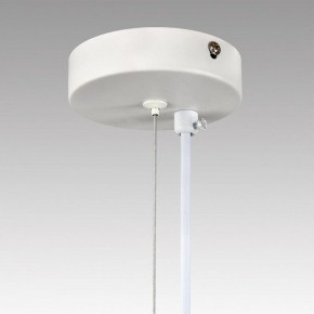 Подвесной светильник Lumion TORINA 8265/7 в Нижнем Тагиле - nizhniy-tagil.ok-mebel.com | фото 8